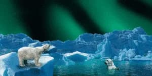 Enfants et changement climatique 