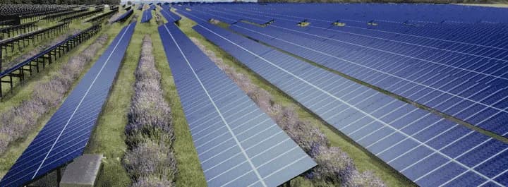 ferme photovoltaique