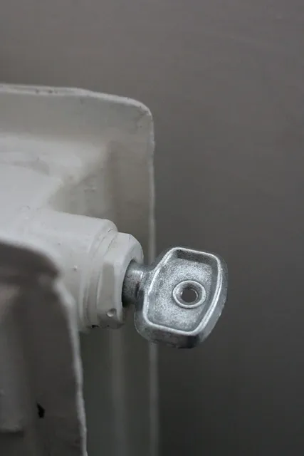 Clé de purge radiateur