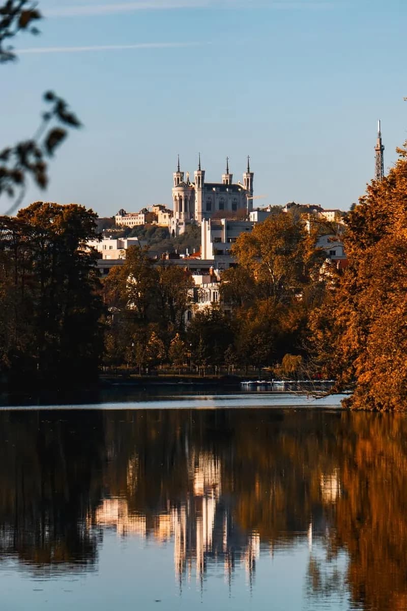 déménagement à lyon