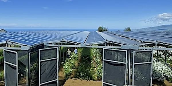 serres ecologiques solaires