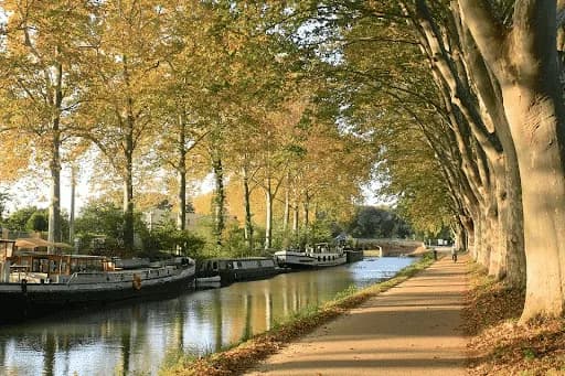 déménager à Toulouse